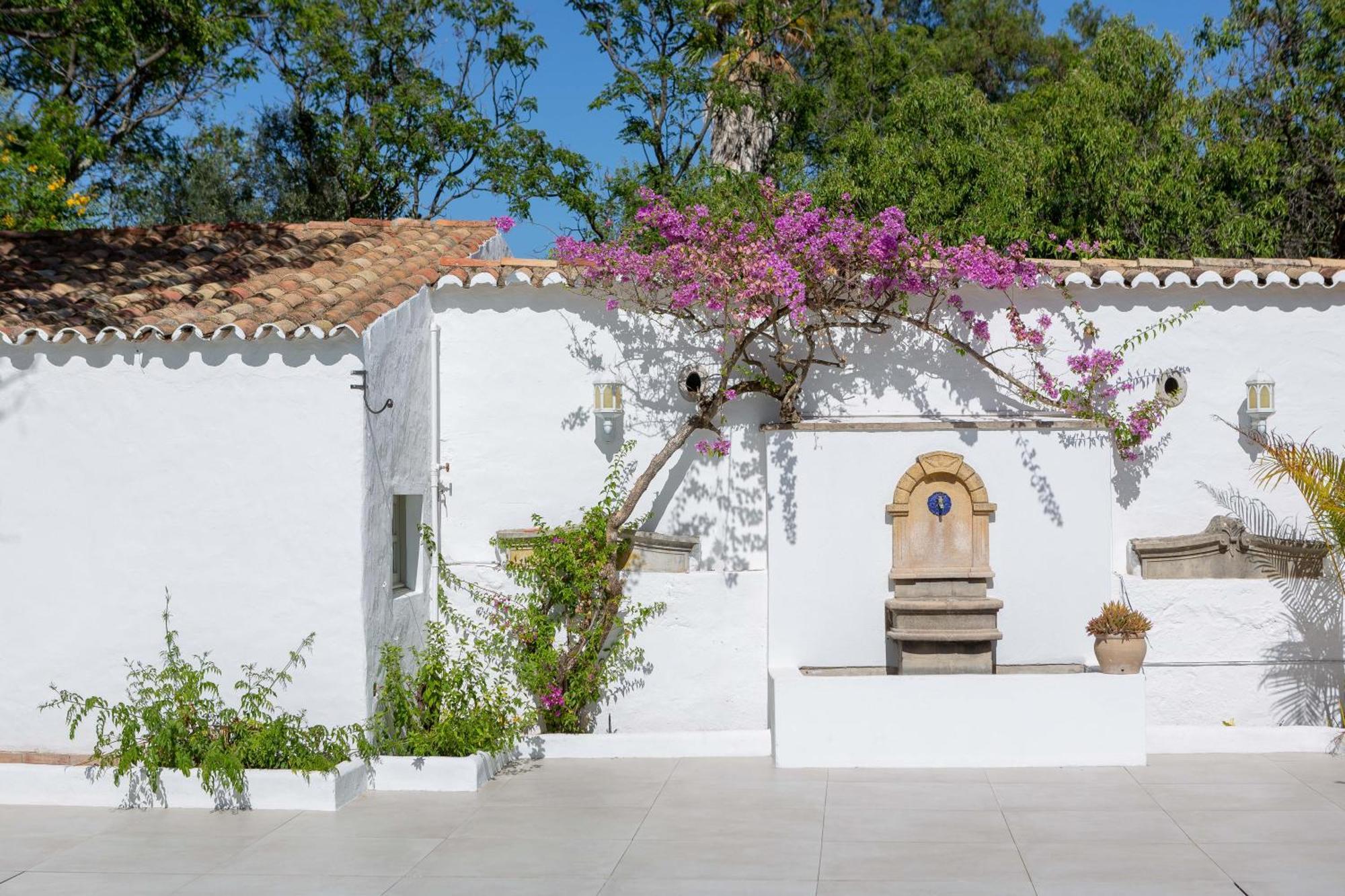 Amago Guesthouse Santa Barbara de Nexe Bagian luar foto